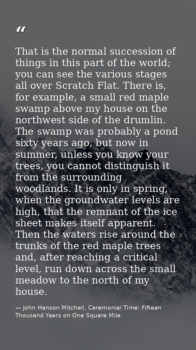 That is the normal succession of things in this part of the world; you can see the various stages all over Scratch Flat. — John Hanson Mitchell, Ceremonial Time: Fifteen Thousand Years on One Square Mile