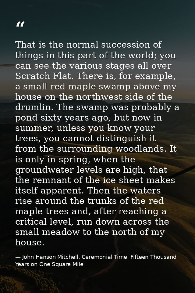 That is the normal succession of things in this part of the world; you can see the various stages all over Scratch Flat. — John Hanson Mitchell, Ceremonial Time: Fifteen Thousand Years on One Square Mile