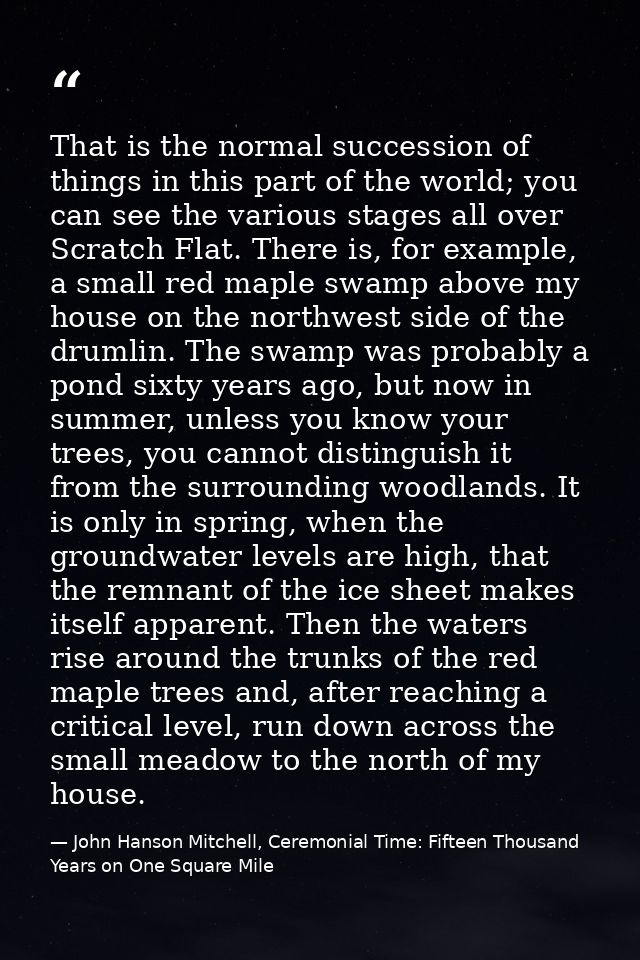 That is the normal succession of things in this part of the world; you can see the various stages all over Scratch Flat. — John Hanson Mitchell, Ceremonial Time: Fifteen Thousand Years on One Square Mile
