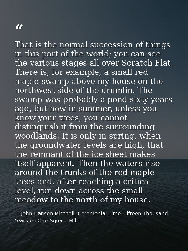 That is the normal succession of things in this part of the world; you can see the various stages all over Scratch Flat. — John Hanson Mitchell, Ceremonial Time: Fifteen Thousand Years on One Square Mile
