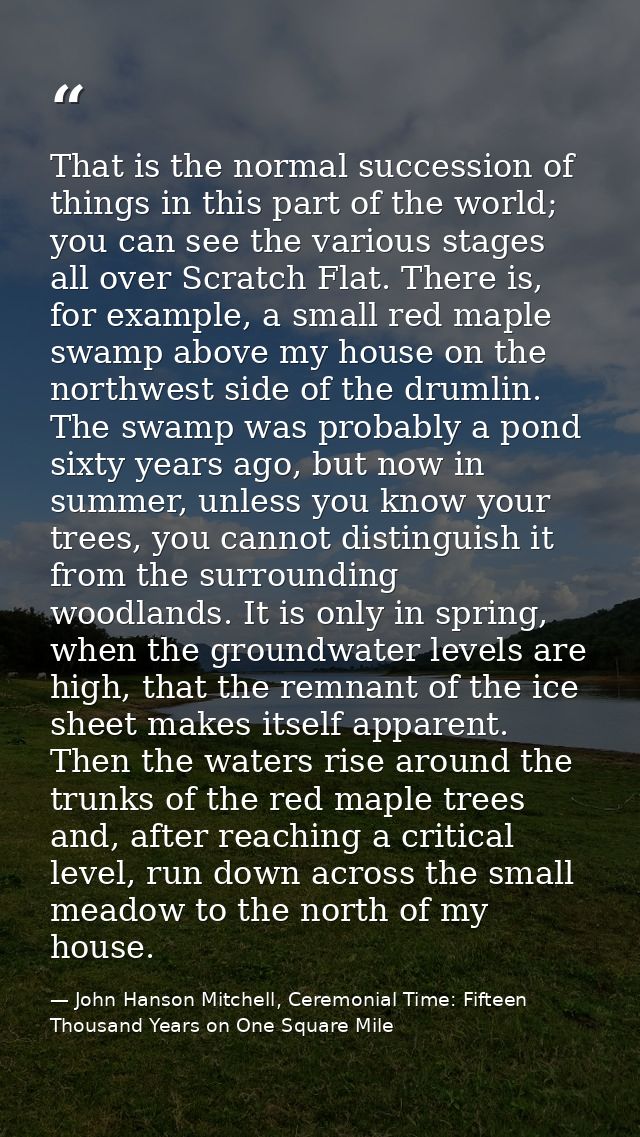 That is the normal succession of things in this part of the world; you can see the various stages all over Scratch Flat. — John Hanson Mitchell, Ceremonial Time: Fifteen Thousand Years on One Square Mile