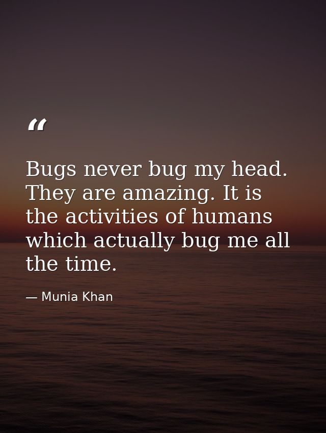 Bugs never bug my head. They are amazing. It is the activities of humans which actually bug me all the time. — Munia Khan