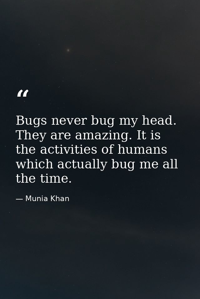 Bugs never bug my head. They are amazing. It is the activities of humans which actually bug me all the time. — Munia Khan