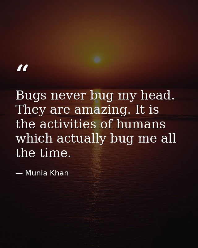 Bugs never bug my head. They are amazing. It is the activities of humans which actually bug me all the time. — Munia Khan