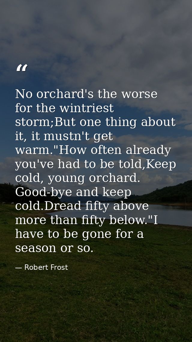 No orchard's the worse for the wintriest storm;But one thing about it, it mustn't get warm."How often already you've had — Robert Frost