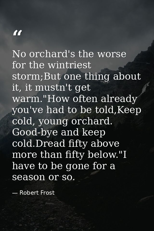 No orchard's the worse for the wintriest storm;But one thing about it, it mustn't get warm."How often already you've had — Robert Frost