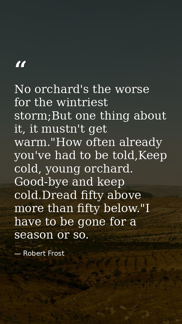 No orchard's the worse for the wintriest storm;But one thing about it, it mustn't get warm."How often already you've had — Robert Frost