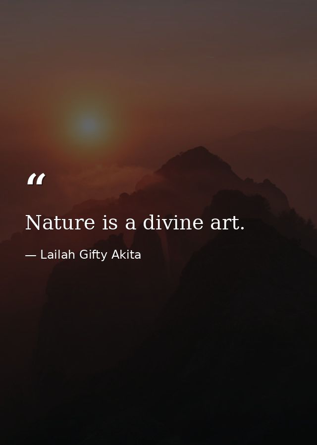 Nature is a divine art. — Lailah Gifty Akita