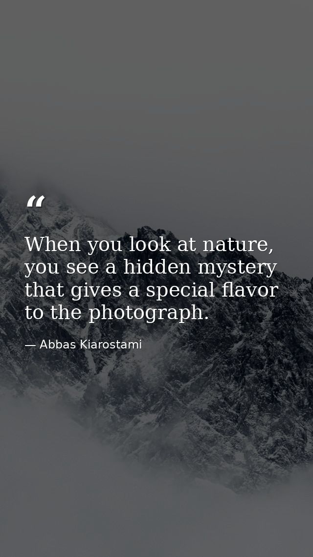 When you look at nature, you see a hidden mystery that gives a special flavor to the photograph. — Abbas Kiarostami