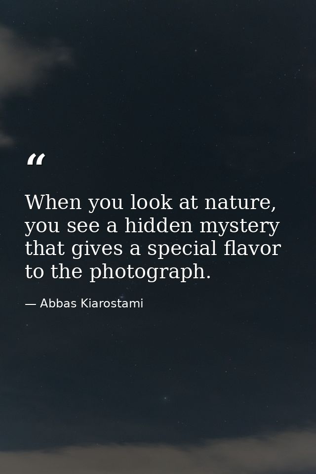 When you look at nature, you see a hidden mystery that gives a special flavor to the photograph. — Abbas Kiarostami