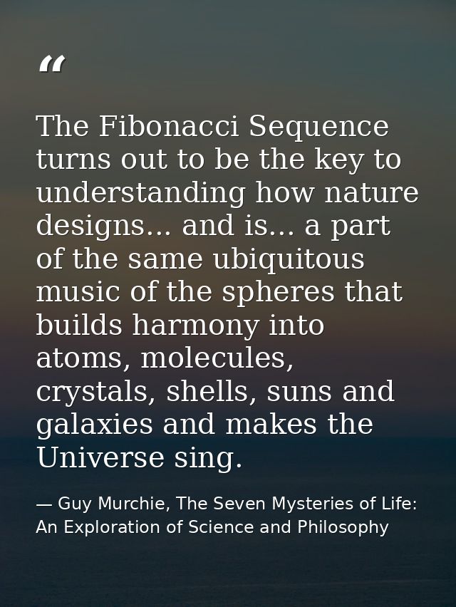The Fibonacci Sequence turns out to be the key to understanding how nature designs... and is... a part of the same ubiqu — Guy Murchie, The Seven Mysteries of Life: An Exploration of Science and Philosophy