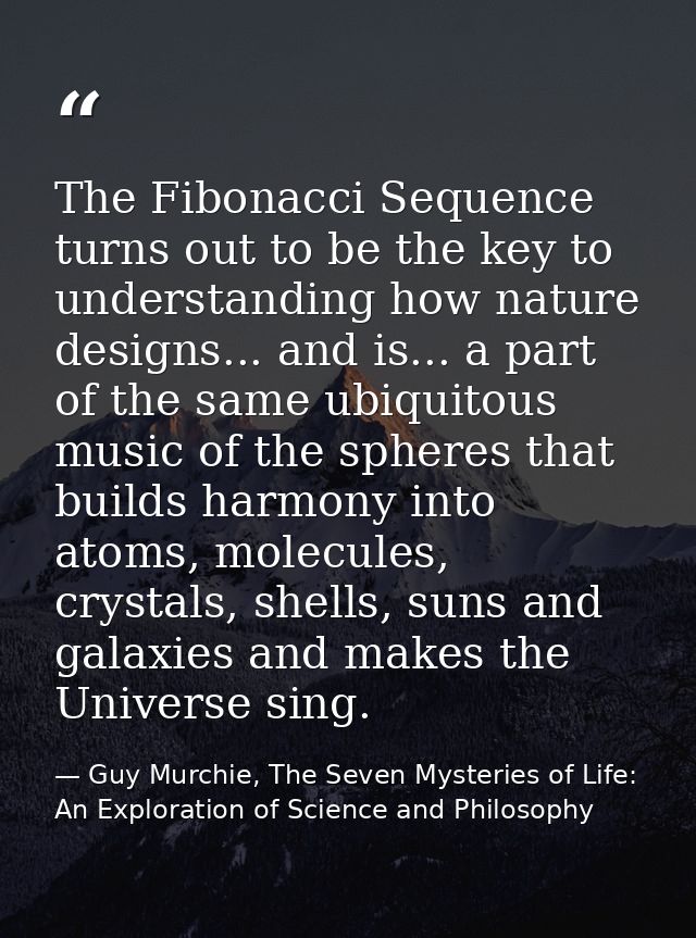 The Fibonacci Sequence turns out to be the key to understanding how nature designs... and is... a part of the same ubiqu — Guy Murchie, The Seven Mysteries of Life: An Exploration of Science and Philosophy