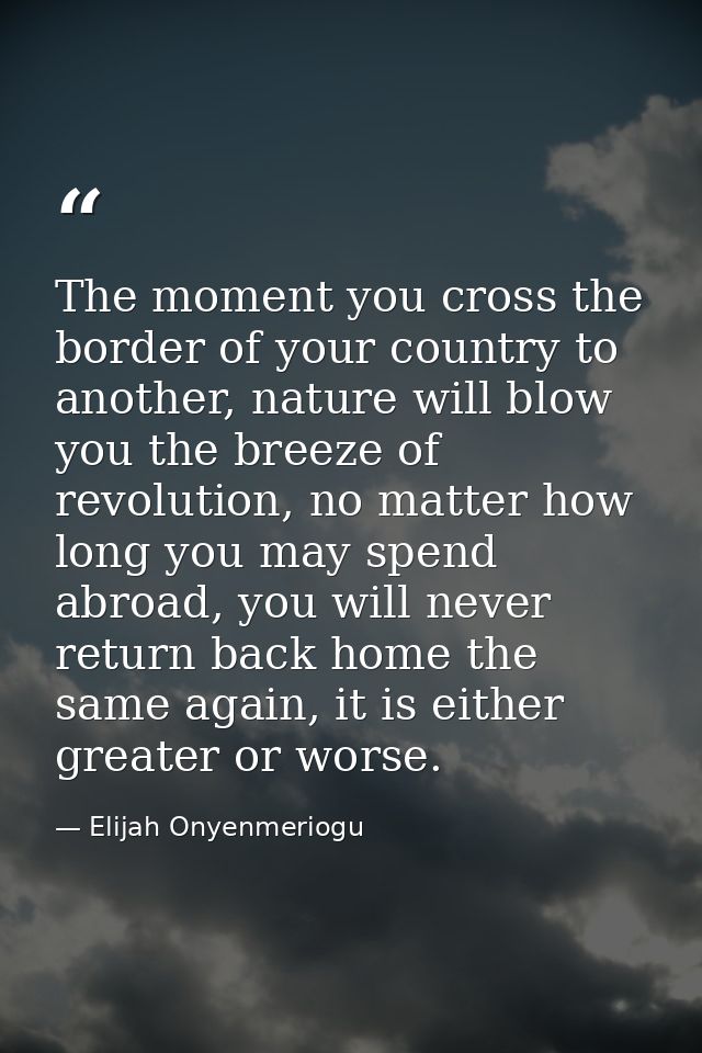 The moment you cross the border of your country to another, nature will blow you the breeze of revolution, no matter how — Elijah Onyenmeriogu