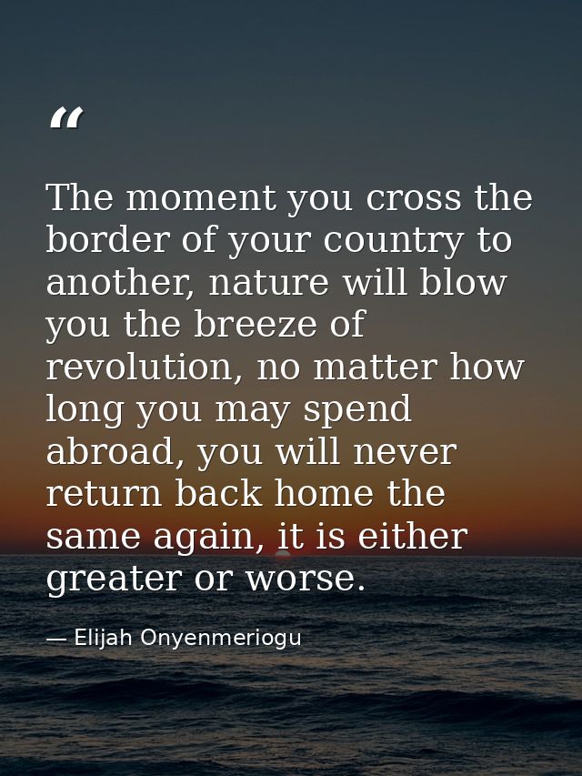 The moment you cross the border of your country to another, nature will blow you the breeze of revolution, no matter how — Elijah Onyenmeriogu