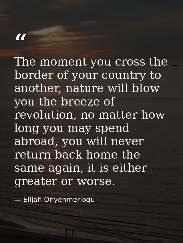 The moment you cross the border of your country to another, nature will blow you the breeze of revolution, no matter how — Elijah Onyenmeriogu