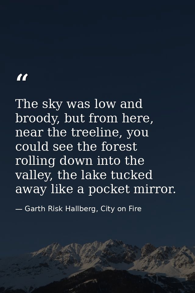 The sky was low and broody, but from here, near the treeline, you could see the forest rolling down into the valley, the — Garth Risk Hallberg, City on Fire