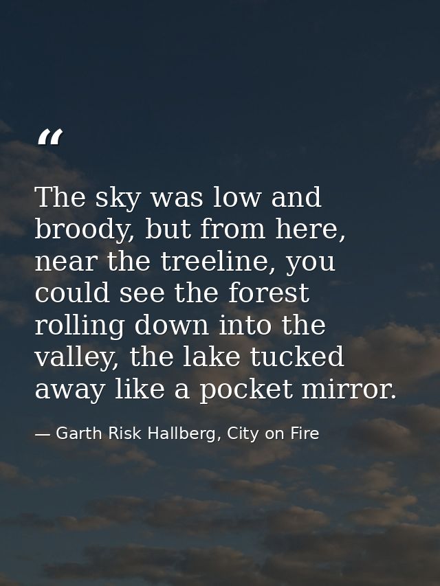 The sky was low and broody, but from here, near the treeline, you could see the forest rolling down into the valley, the — Garth Risk Hallberg, City on Fire