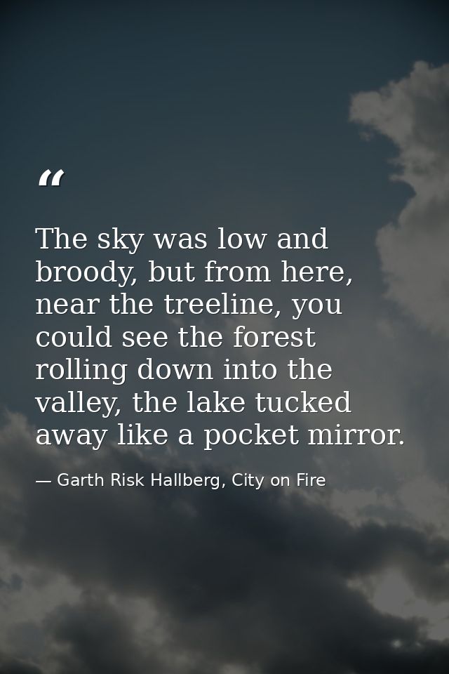 The sky was low and broody, but from here, near the treeline, you could see the forest rolling down into the valley, the — Garth Risk Hallberg, City on Fire