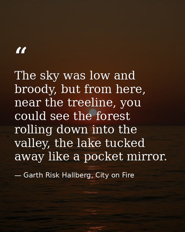 The sky was low and broody, but from here, near the treeline, you could see the forest rolling down into the valley, the — Garth Risk Hallberg, City on Fire