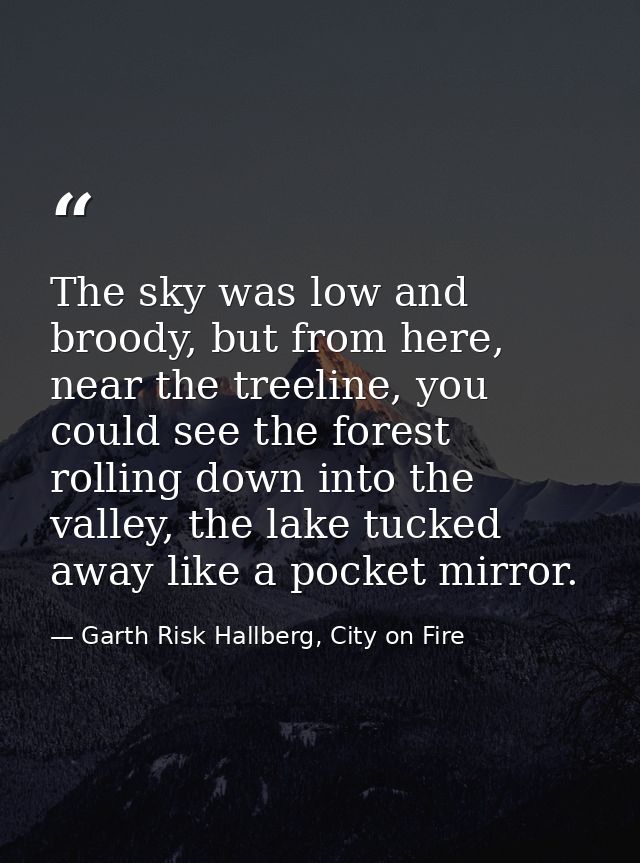 The sky was low and broody, but from here, near the treeline, you could see the forest rolling down into the valley, the — Garth Risk Hallberg, City on Fire