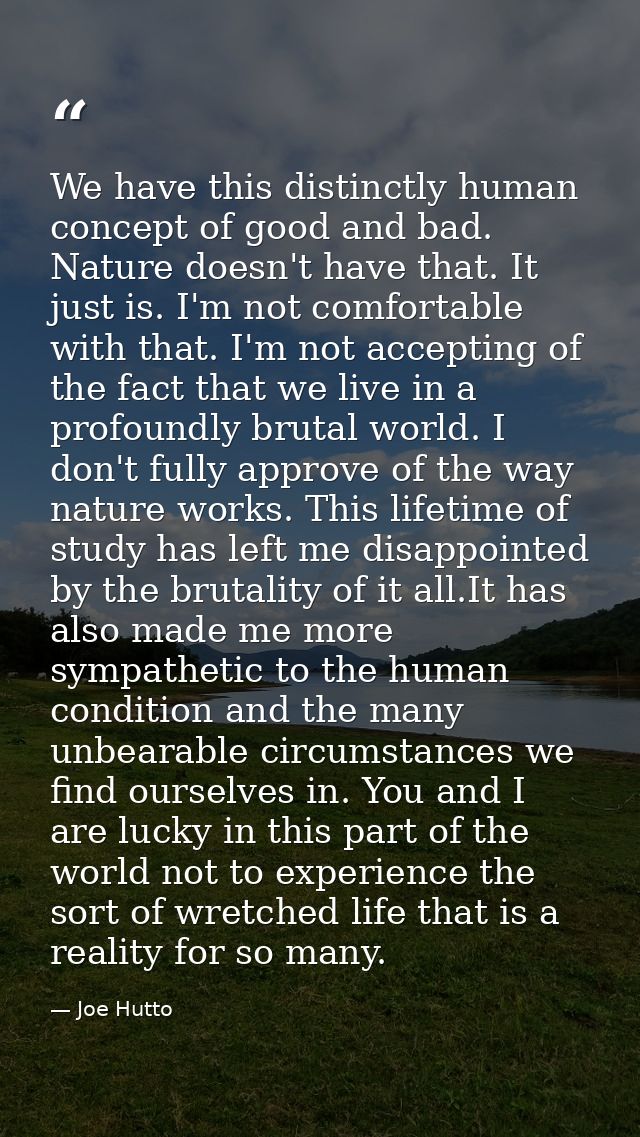 We have this distinctly human concept of good and bad. Nature doesn't have that. It just is. I'm not comfortable with th — Joe Hutto