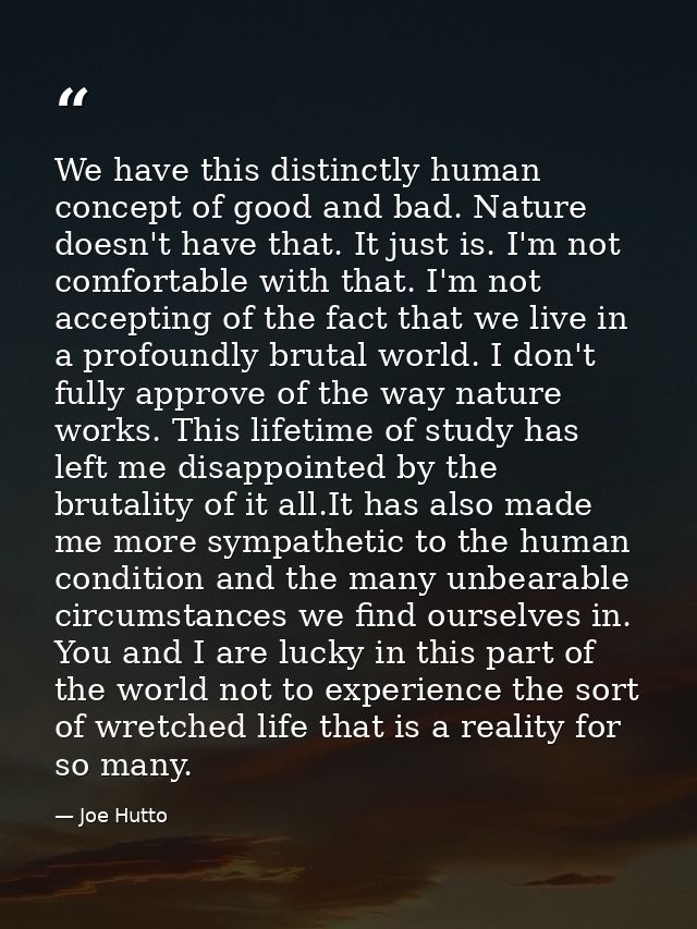 We have this distinctly human concept of good and bad. Nature doesn't have that. It just is. I'm not comfortable with th — Joe Hutto