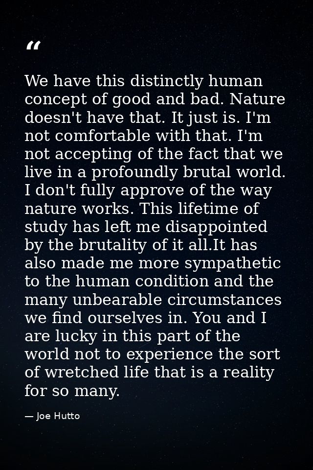 We have this distinctly human concept of good and bad. Nature doesn't have that. It just is. I'm not comfortable with th — Joe Hutto