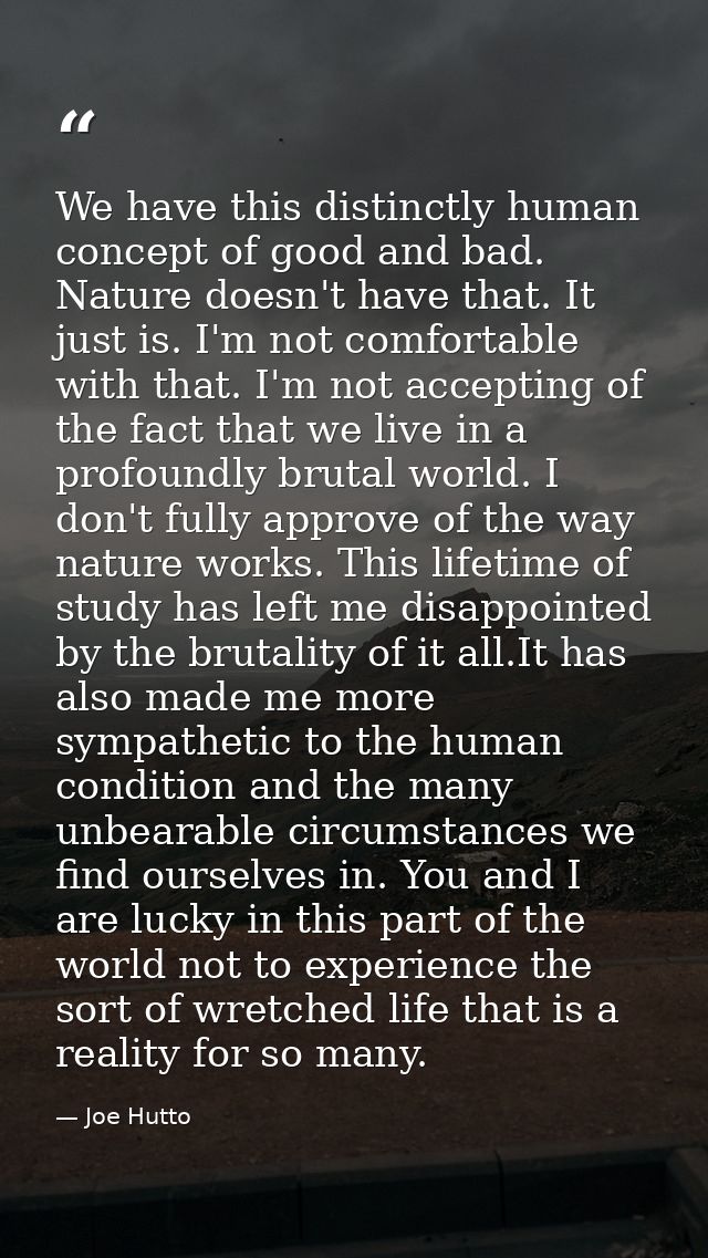 We have this distinctly human concept of good and bad. Nature doesn't have that. It just is. I'm not comfortable with th — Joe Hutto