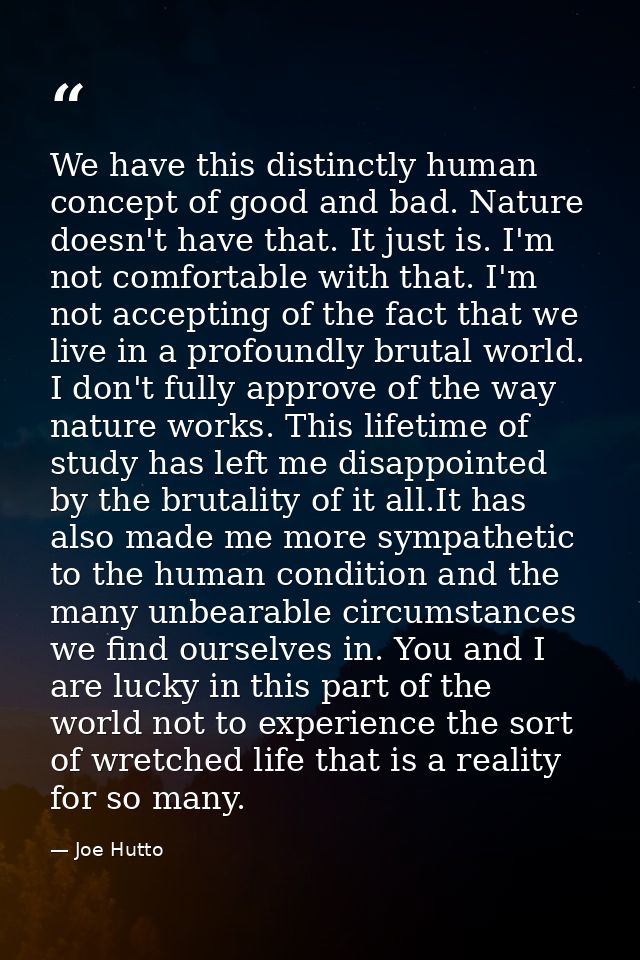 We have this distinctly human concept of good and bad. Nature doesn't have that. It just is. I'm not comfortable with th — Joe Hutto