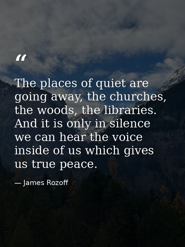The places of quiet are going away, the churches, the woods, the libraries. And it is only in silence we can hear the vo — James Rozoff
