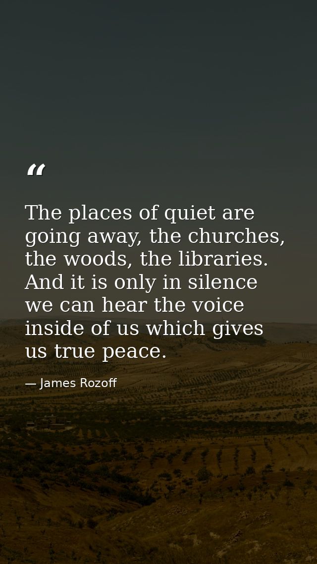 The places of quiet are going away, the churches, the woods, the libraries. And it is only in silence we can hear the vo — James Rozoff