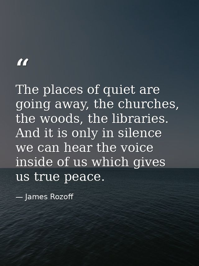 The places of quiet are going away, the churches, the woods, the libraries. And it is only in silence we can hear the vo — James Rozoff