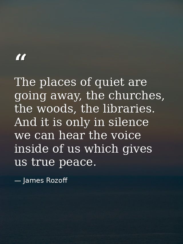The places of quiet are going away, the churches, the woods, the libraries. And it is only in silence we can hear the vo — James Rozoff