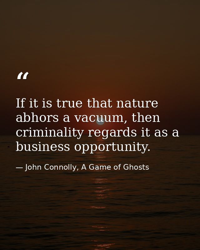 If it is true that nature abhors a vacuum, then criminality regards it as a business opportunity. — John Connolly, A Game of Ghosts