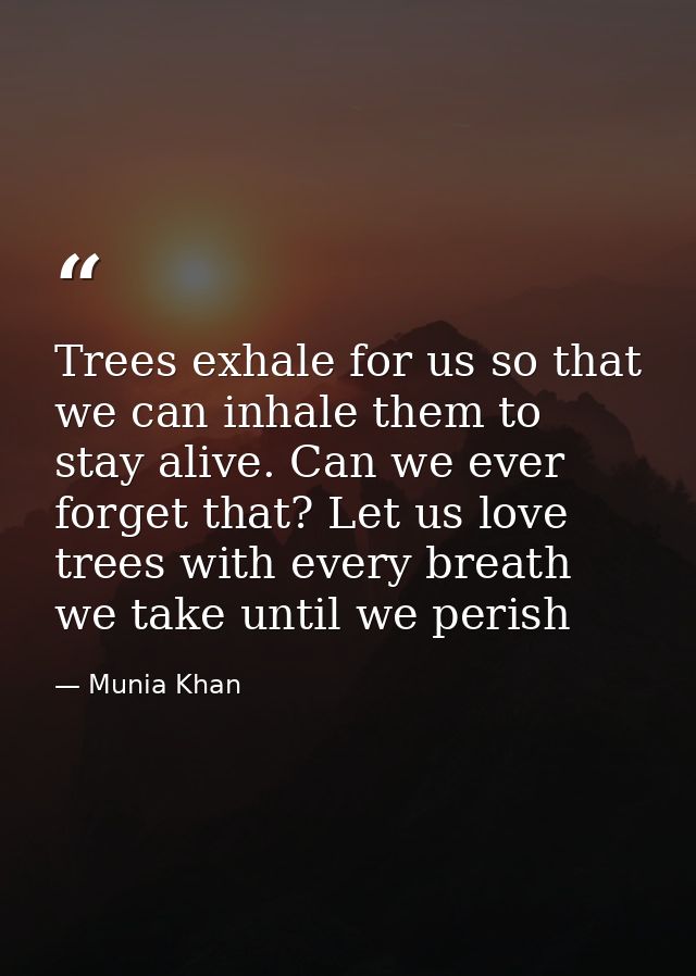 Trees exhale for us so that we can inhale them to stay alive. Can we ever forget that? Let us love trees with every brea — Munia Khan