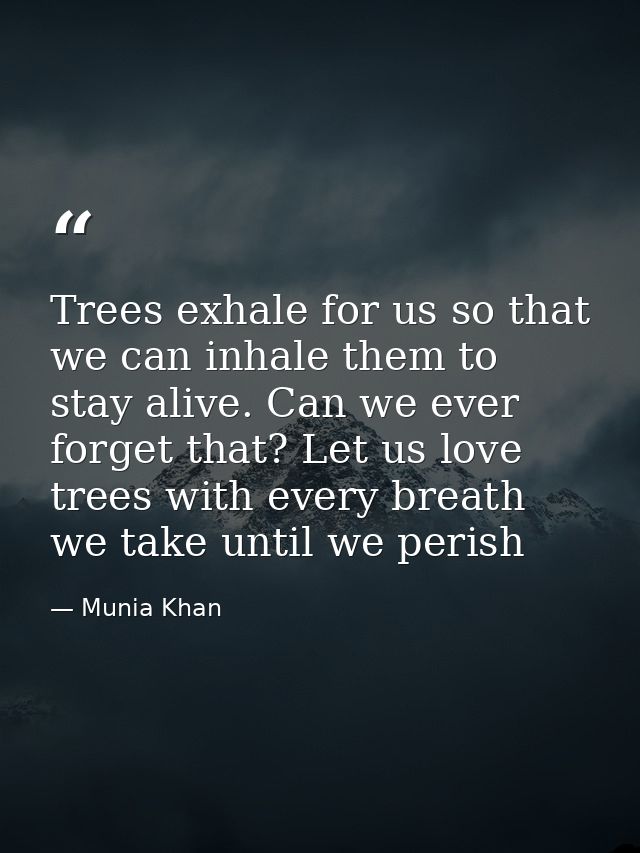 Trees exhale for us so that we can inhale them to stay alive. Can we ever forget that? Let us love trees with every brea — Munia Khan