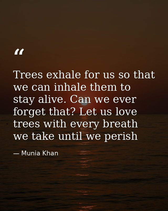 Trees exhale for us so that we can inhale them to stay alive. Can we ever forget that? Let us love trees with every brea — Munia Khan
