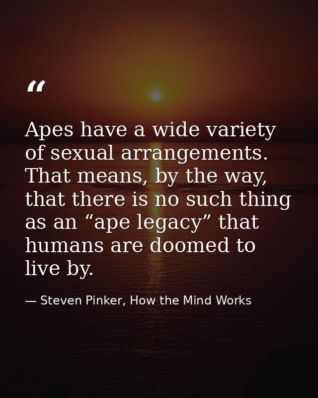 Apes have a wide variety of sexual arrangements. That means, by the way, that there is no such thing as an “ape legacy”  — Steven Pinker, How the Mind Works