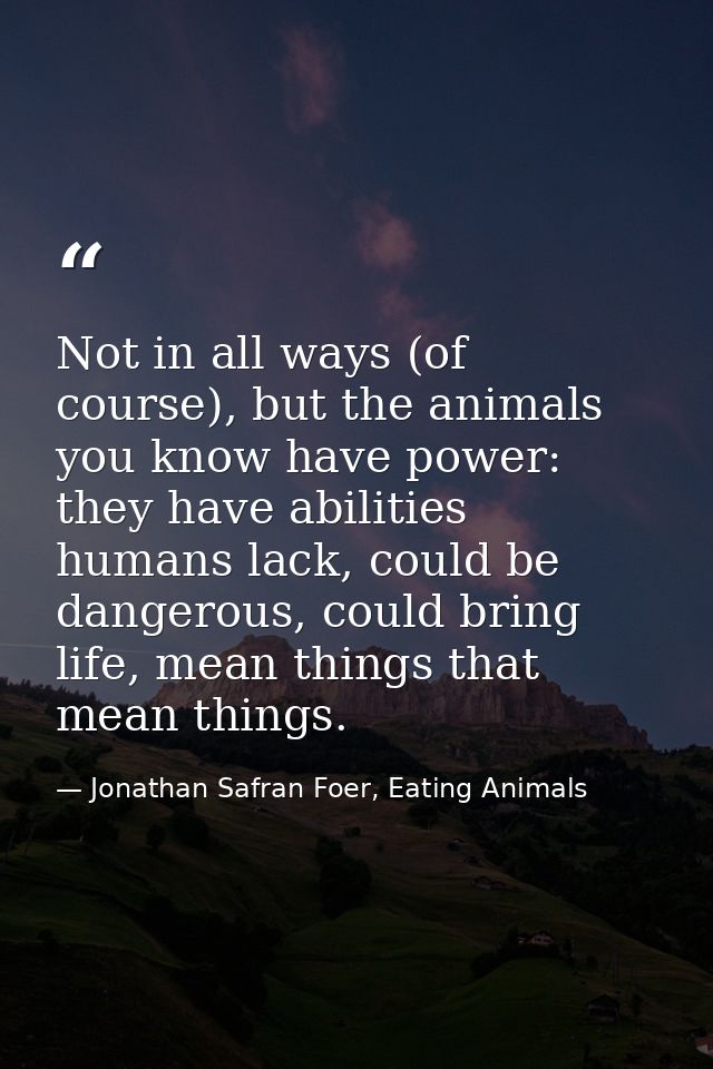 Not in all ways (of course), but the animals you know have power: they have abilities humans lack, could be dangerous, c — Jonathan Safran Foer, Eating Animals