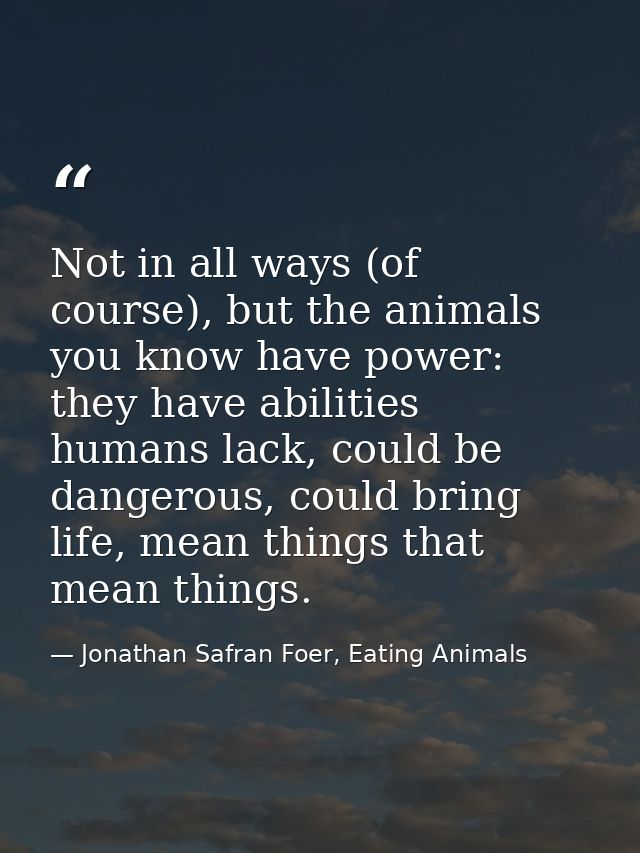 Not in all ways (of course), but the animals you know have power: they have abilities humans lack, could be dangerous, c — Jonathan Safran Foer, Eating Animals