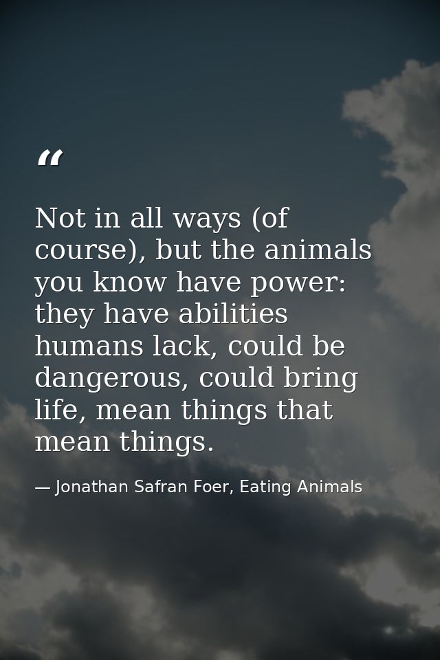 Not in all ways (of course), but the animals you know have power: they have abilities humans lack, could be dangerous, c — Jonathan Safran Foer, Eating Animals