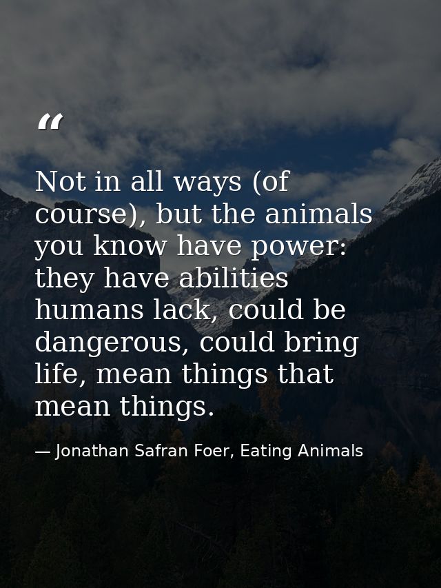 Not in all ways (of course), but the animals you know have power: they have abilities humans lack, could be dangerous, c — Jonathan Safran Foer, Eating Animals