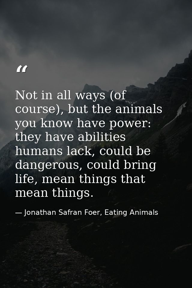 Not in all ways (of course), but the animals you know have power: they have abilities humans lack, could be dangerous, c — Jonathan Safran Foer, Eating Animals