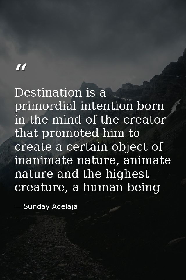 Destination is a primordial intention born in the mind of the creator that promoted him to create a certain object of in — Sunday Adelaja