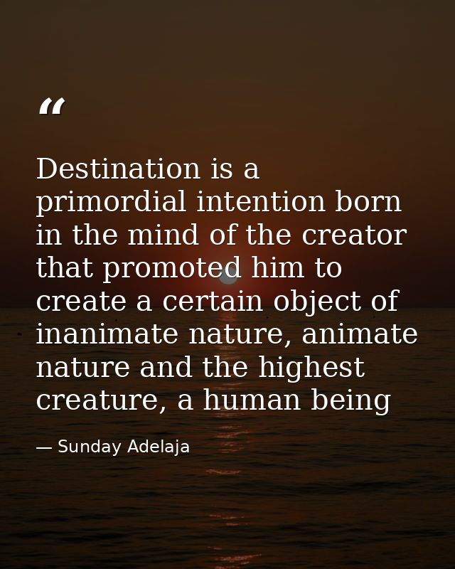 Destination is a primordial intention born in the mind of the creator that promoted him to create a certain object of in — Sunday Adelaja
