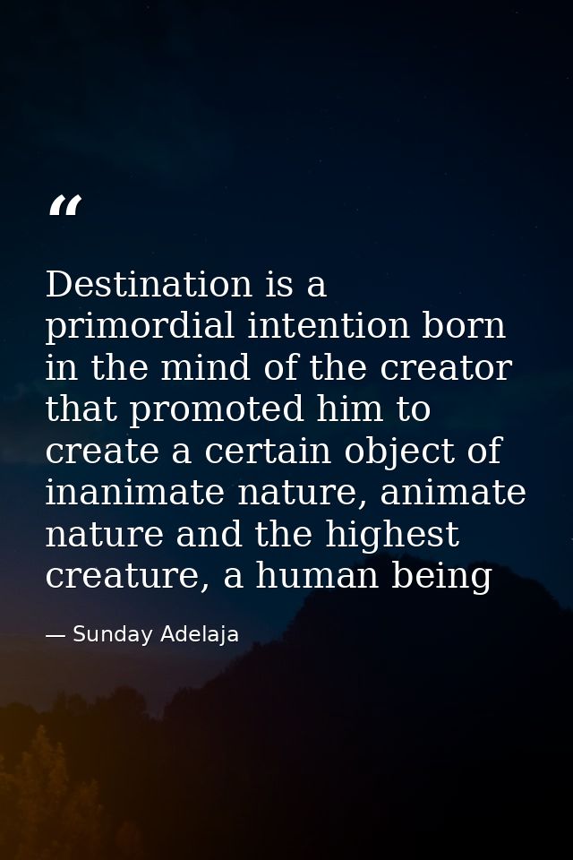 Destination is a primordial intention born in the mind of the creator that promoted him to create a certain object of in — Sunday Adelaja