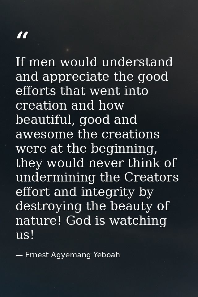 If men would understand and appreciate the good efforts that went into creation and how beautiful, good and awesome the  — Ernest Agyemang Yeboah