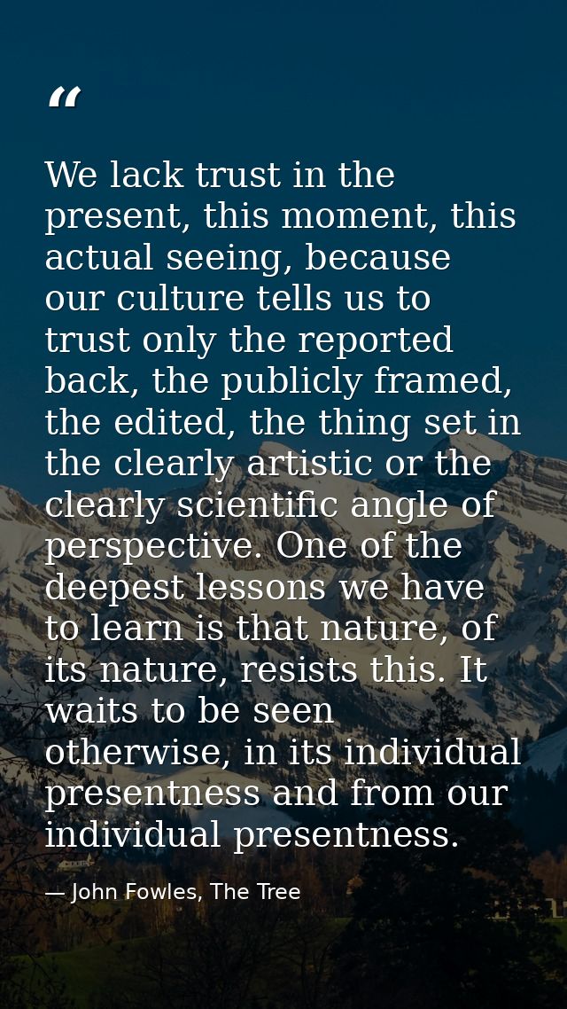 We lack trust in the present, this moment, this actual seeing, because our culture tells us to trust only the reported b — John Fowles, The Tree