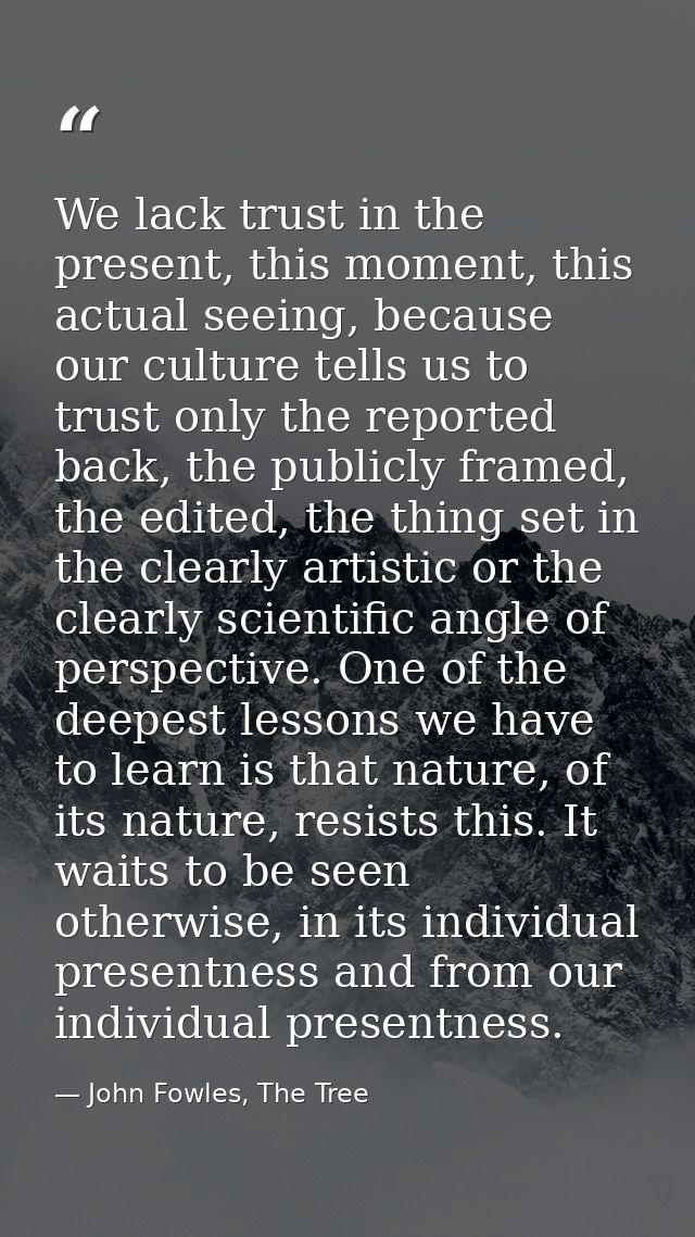 We lack trust in the present, this moment, this actual seeing, because our culture tells us to trust only the reported b — John Fowles, The Tree