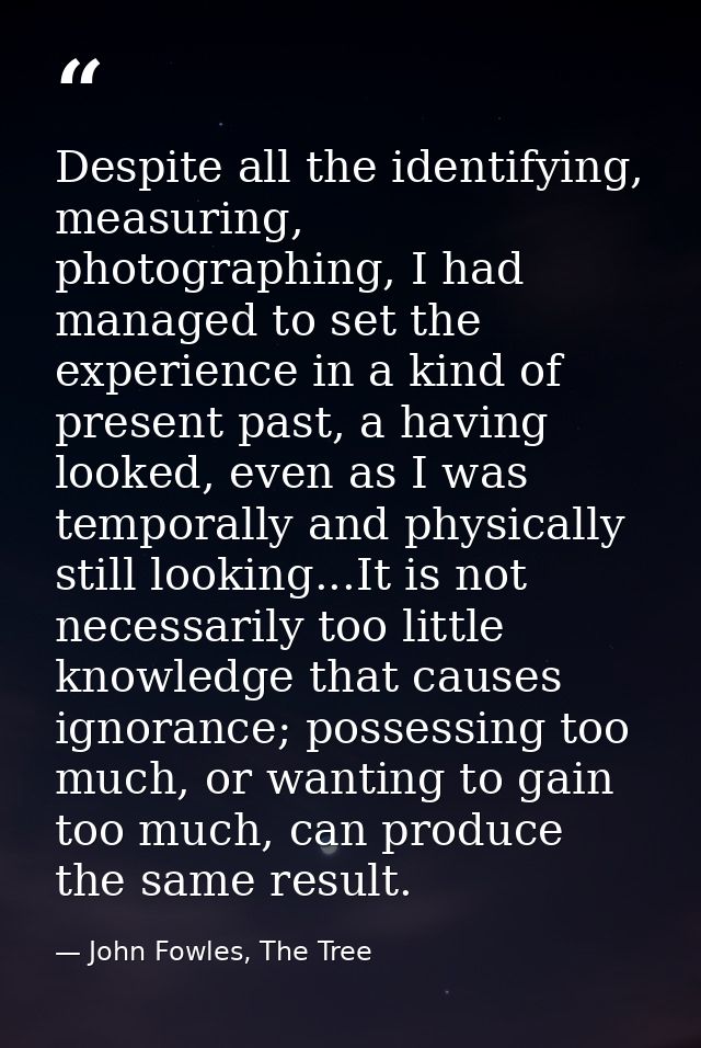Despite all the identifying, measuring, photographing, I had managed to set the experience in a kind of present past, a  — John Fowles, The Tree